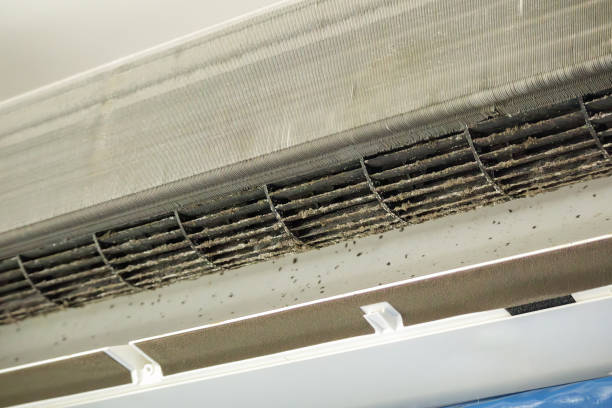 Best Commercial HVAC Duct Cleaning  in New Berlinville, PA